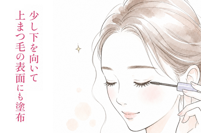 STEP2 根元から毛先まで 上まつ毛の内側に塗布